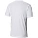 Мужская футболка Columbia M CSC DESTINATION TEE белая 1840992-020, Белый, SS19