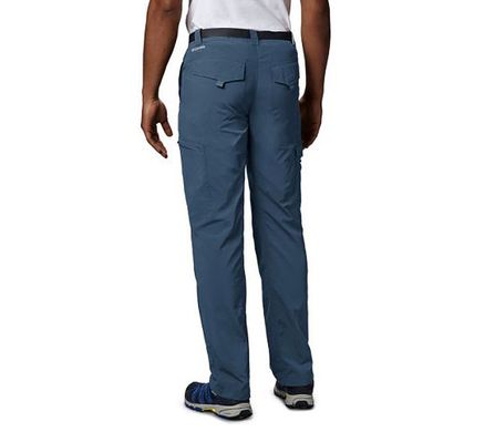 Чоловічі брюки Columbia SILVER RIDGE ™ CARGO PANT сині 1441681-478, синій, SS21